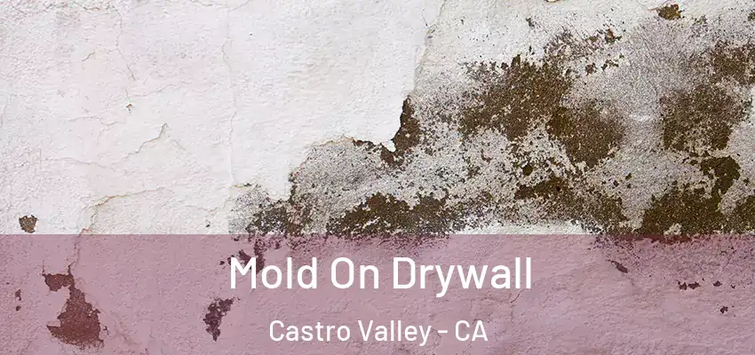  Mold On Drywall Castro Valley - CA