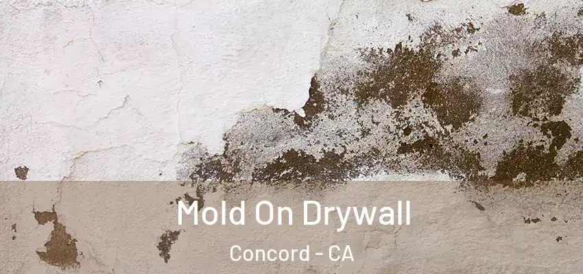  Mold On Drywall Concord - CA