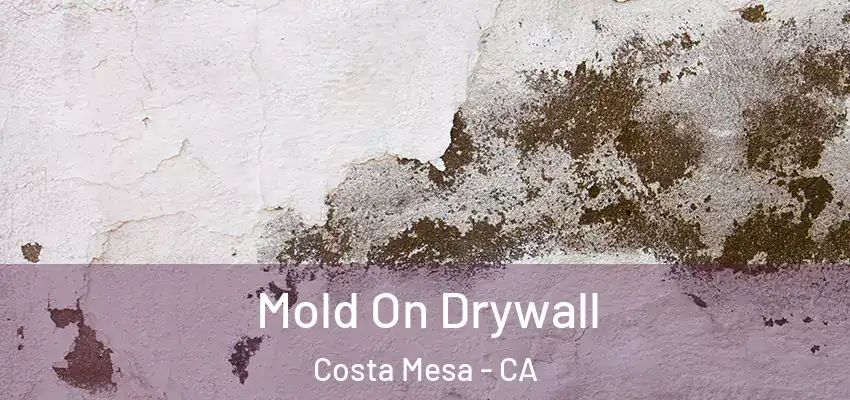  Mold On Drywall Costa Mesa - CA