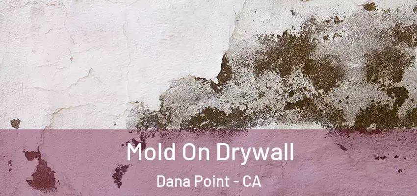  Mold On Drywall Dana Point - CA