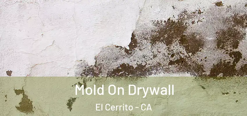  Mold On Drywall El Cerrito - CA