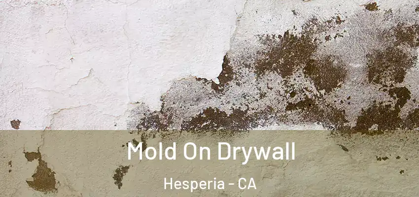  Mold On Drywall Hesperia - CA