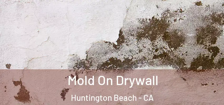  Mold On Drywall Huntington Beach - CA