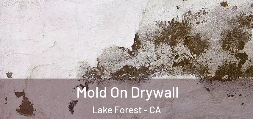 Mold On Drywall Lake Forest - CA