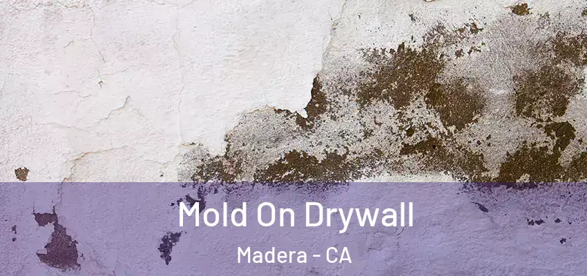  Mold On Drywall Madera - CA