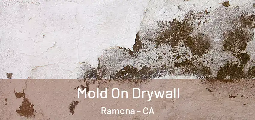Mold On Drywall Ramona - CA