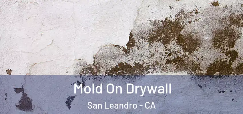 Mold On Drywall San Leandro - CA