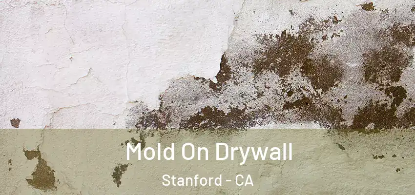 Mold On Drywall Stanford - CA
