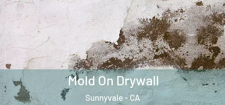Mold On Drywall Sunnyvale - CA