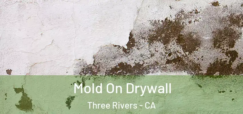  Mold On Drywall Three Rivers - CA