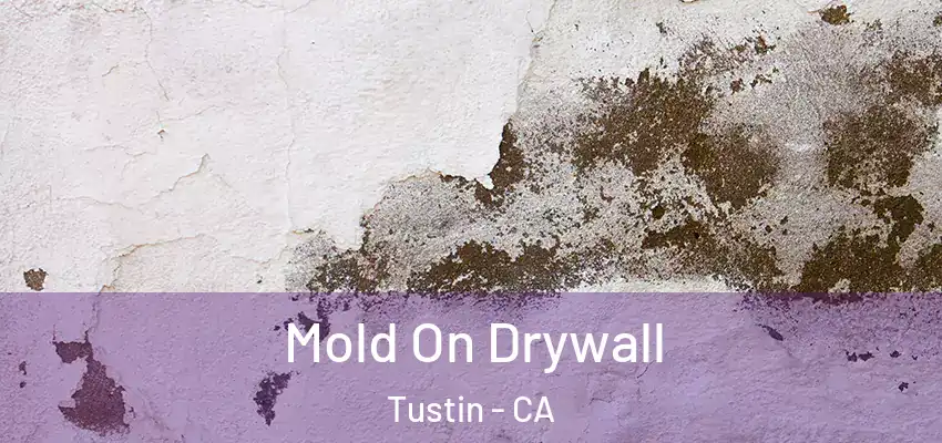 Mold On Drywall Tustin - CA
