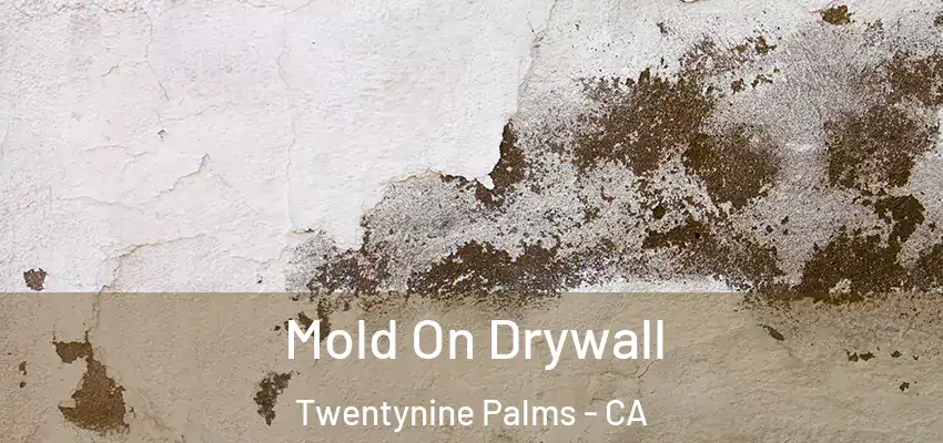  Mold On Drywall Twentynine Palms - CA
