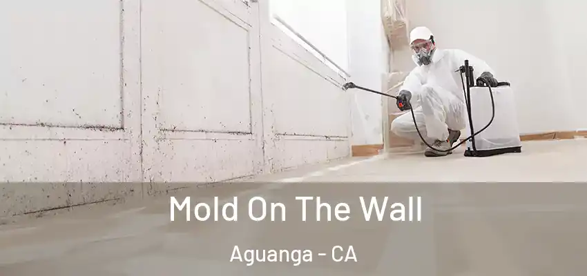  Mold On The Wall Aguanga - CA