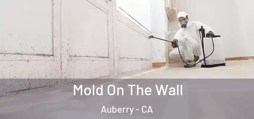  Mold On The Wall Auberry - CA