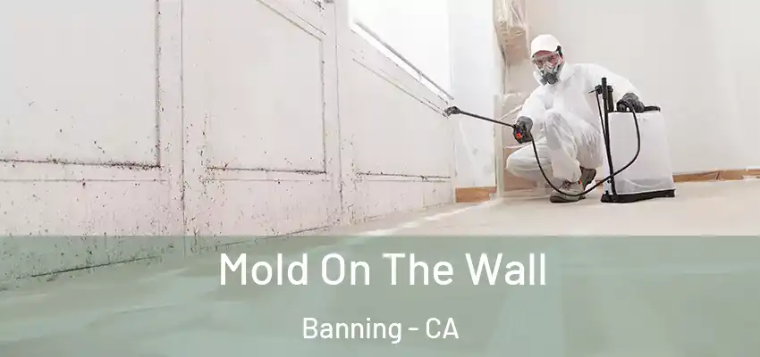  Mold On The Wall Banning - CA