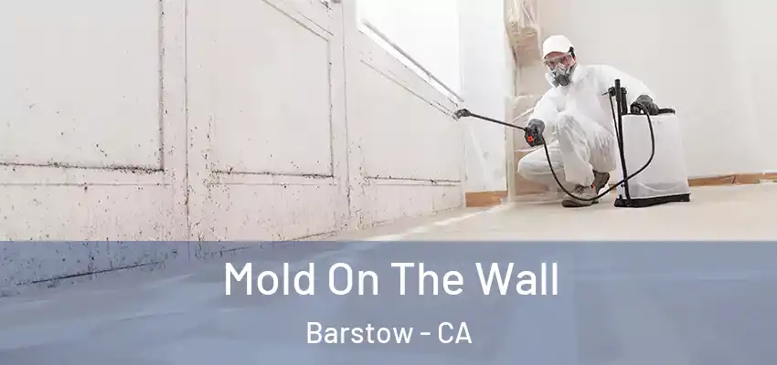 Mold On The Wall Barstow - CA