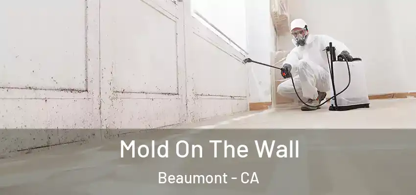  Mold On The Wall Beaumont - CA