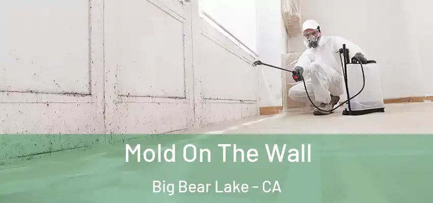 Mold On The Wall Big Bear Lake - CA