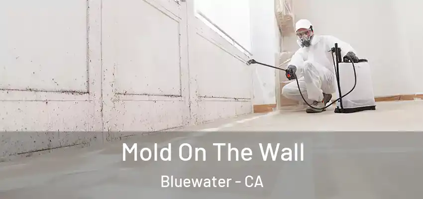  Mold On The Wall Bluewater - CA