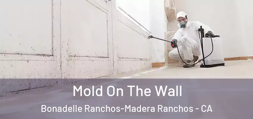  Mold On The Wall Bonadelle Ranchos-Madera Ranchos - CA