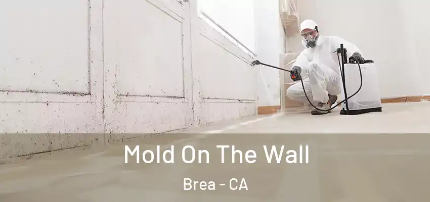  Mold On The Wall Brea - CA
