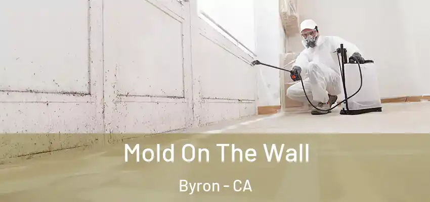  Mold On The Wall Byron - CA