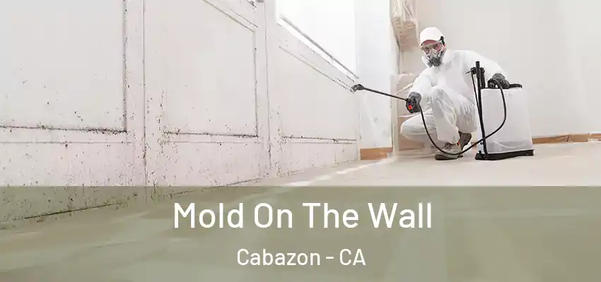  Mold On The Wall Cabazon - CA