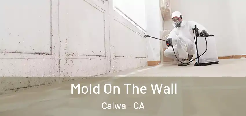 Mold On The Wall Calwa - CA