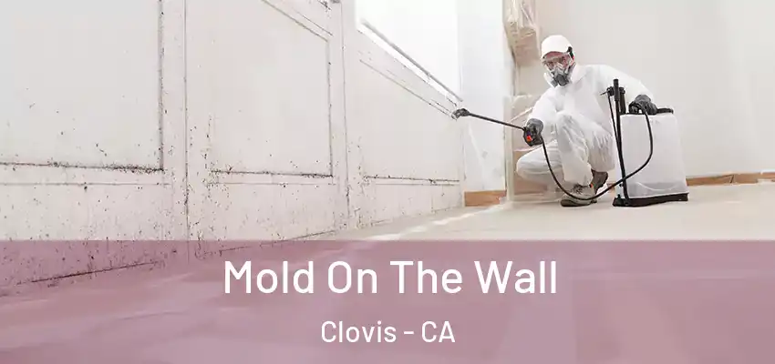Mold On The Wall Clovis - CA