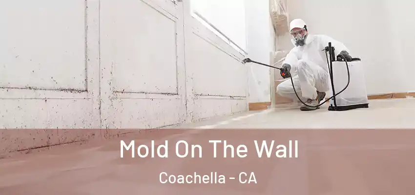  Mold On The Wall Coachella - CA