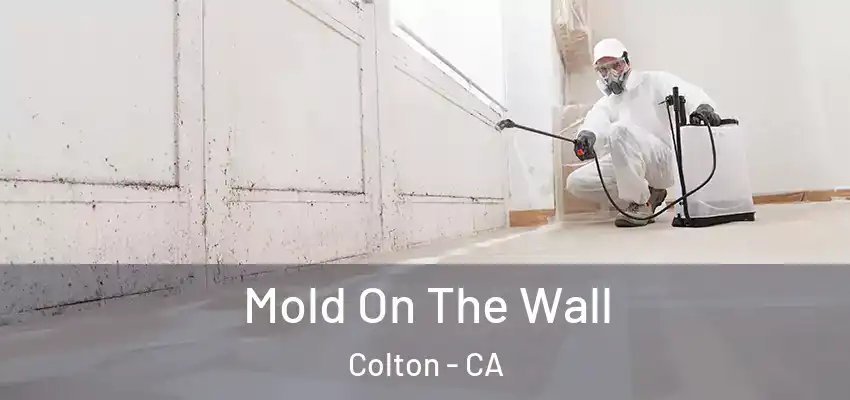  Mold On The Wall Colton - CA