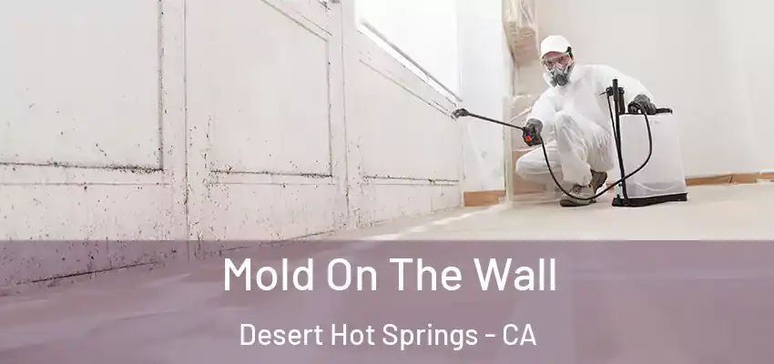  Mold On The Wall Desert Hot Springs - CA