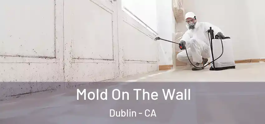 Mold On The Wall Dublin - CA