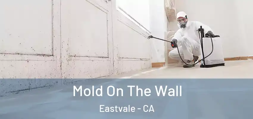  Mold On The Wall Eastvale - CA