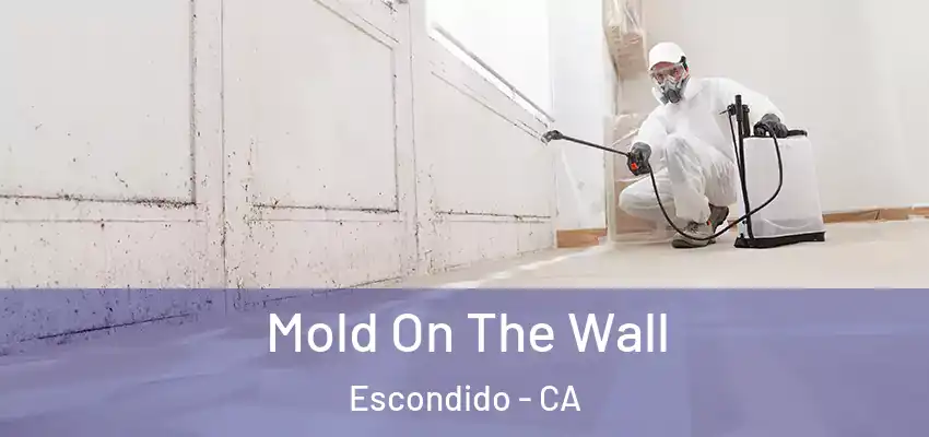  Mold On The Wall Escondido - CA