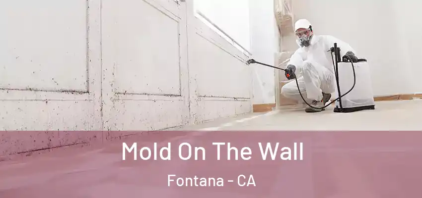  Mold On The Wall Fontana - CA