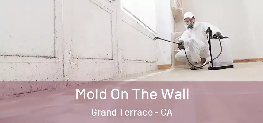  Mold On The Wall Grand Terrace - CA