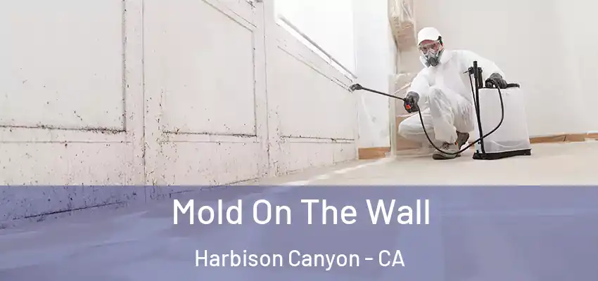  Mold On The Wall Harbison Canyon - CA