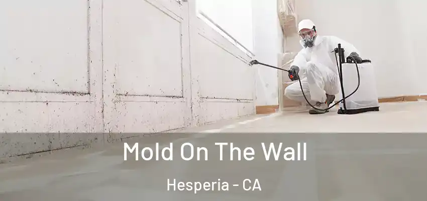  Mold On The Wall Hesperia - CA