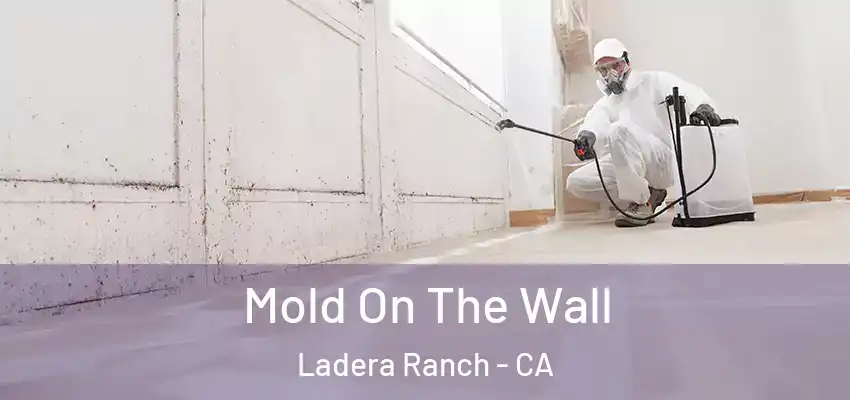 Mold On The Wall Ladera Ranch - CA