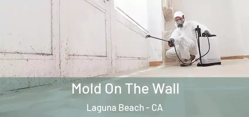  Mold On The Wall Laguna Beach - CA