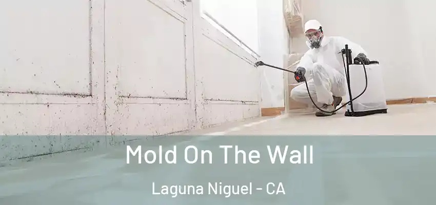  Mold On The Wall Laguna Niguel - CA
