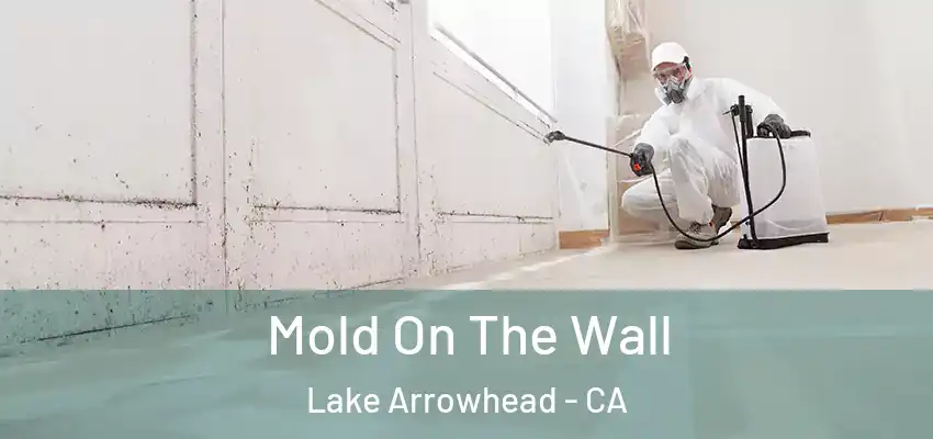  Mold On The Wall Lake Arrowhead - CA