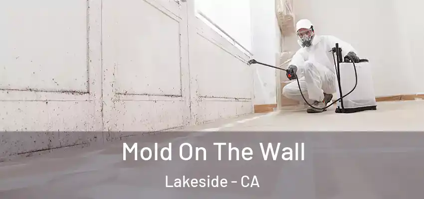  Mold On The Wall Lakeside - CA
