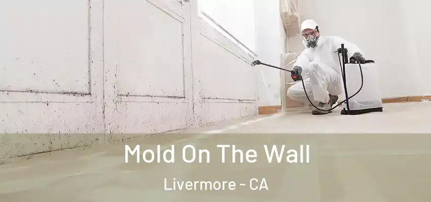  Mold On The Wall Livermore - CA