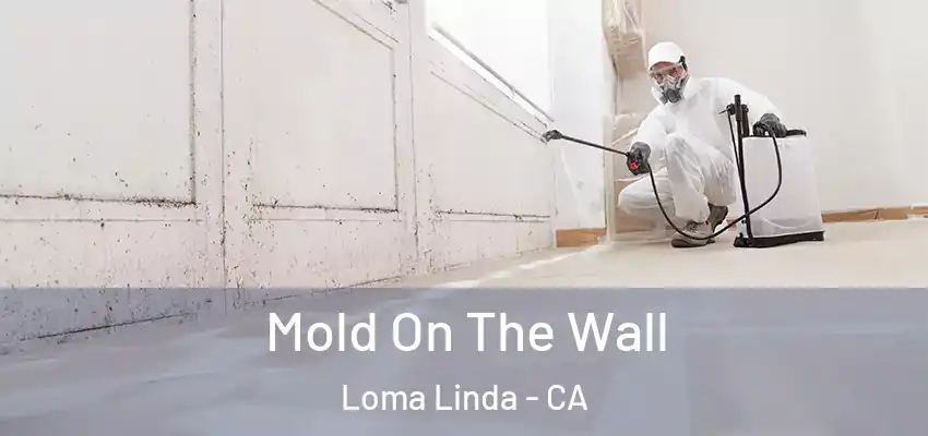  Mold On The Wall Loma Linda - CA