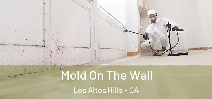  Mold On The Wall Los Altos Hills - CA