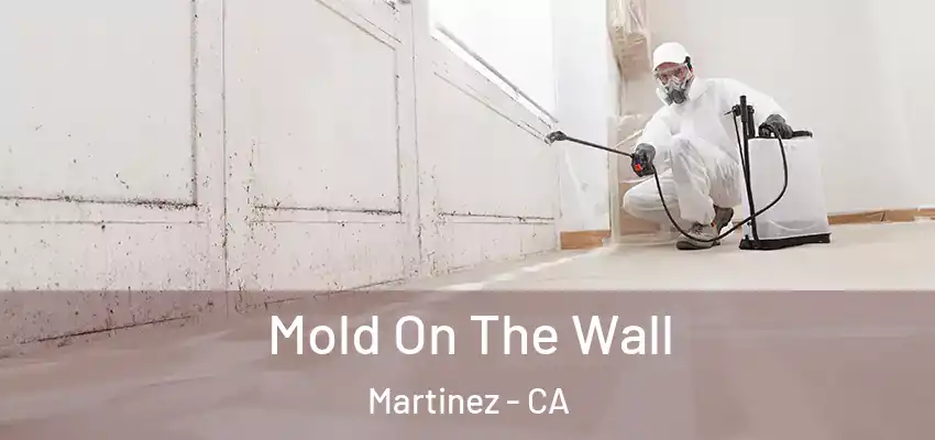 Mold On The Wall Martinez - CA