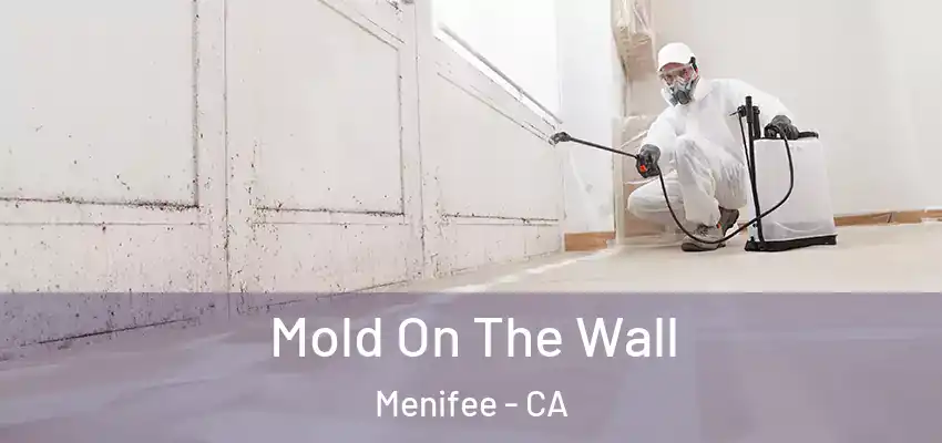 Mold On The Wall Menifee - CA
