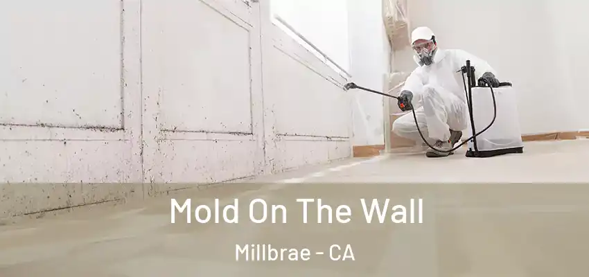  Mold On The Wall Millbrae - CA